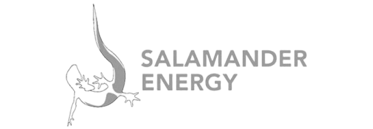 Salamander Energy
